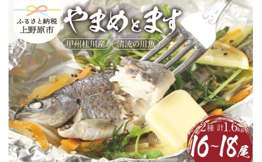 【一級河川(魚)】甲州桂川のやまめ(約800g)とます(約800g)高級セット 各1箱