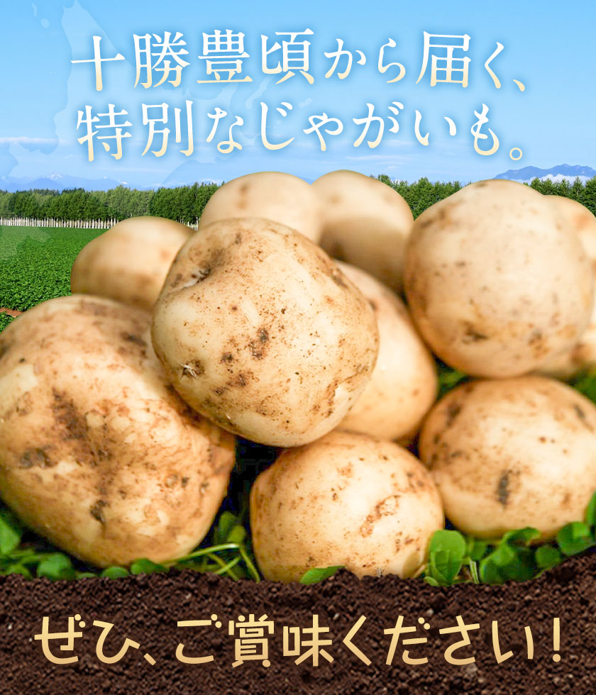 【2026年秋出荷】先行予約 十勝野じゃがいも きたあかり 10kg 按田農場《2026年10月中旬-11月末出荷》北海道 豊頃町 十勝野 じゃがいも 農家直送 数量限定---toyokoro_adn