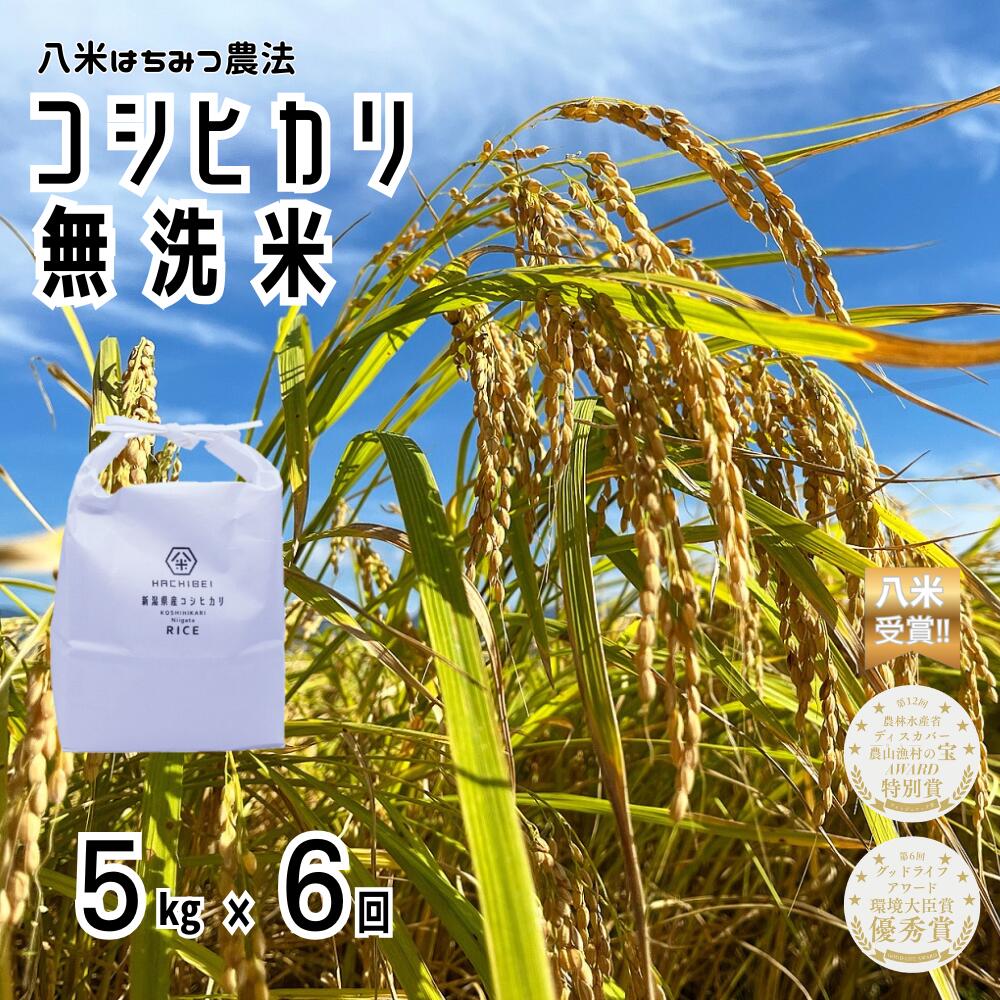 【ふるさと納税】【令和7年産】【環境大臣賞受賞】【特別賞受賞】6ヶ月定期便 無洗米 コシヒカリ 5kg×6回 計30kg 農家直送 ほんのり甘い「はちみつ農法」 白米 精米 HACHIBEI 八米 新潟県 米 こめ コメ