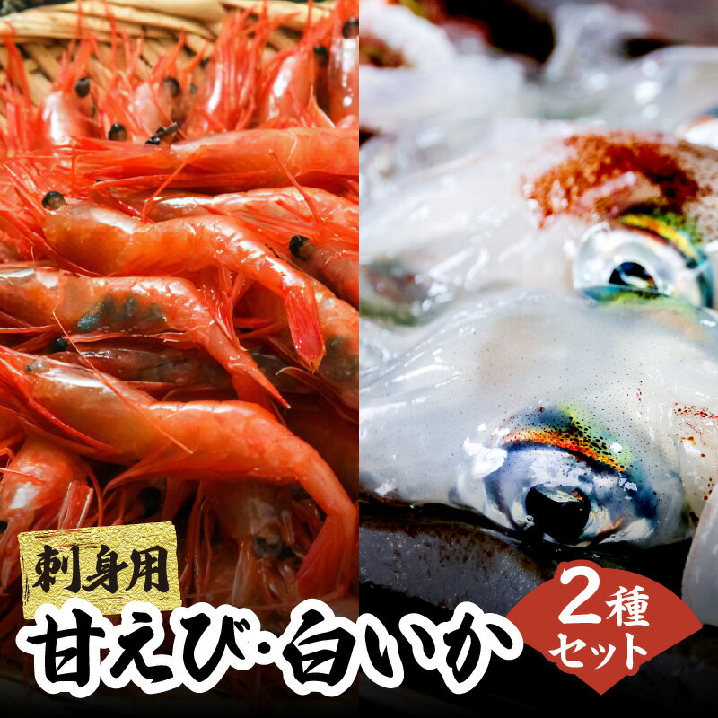 【ふるさと納税】イカ・甘えび 海鮮 2種 セット (白いか 約1kg～/4～8杯 甘えび 約800g/30～40尾) 計1.8kg 刺身セット 送料無料 海鮮セット いか 甘エビ 甘海老 烏賊 剣先イカ 魚介類 家族 お刺身 ごはんのお供 御贈答 ギフト 新鮮 冷凍 6月下旬～9月中旬頃発送 送料無料
