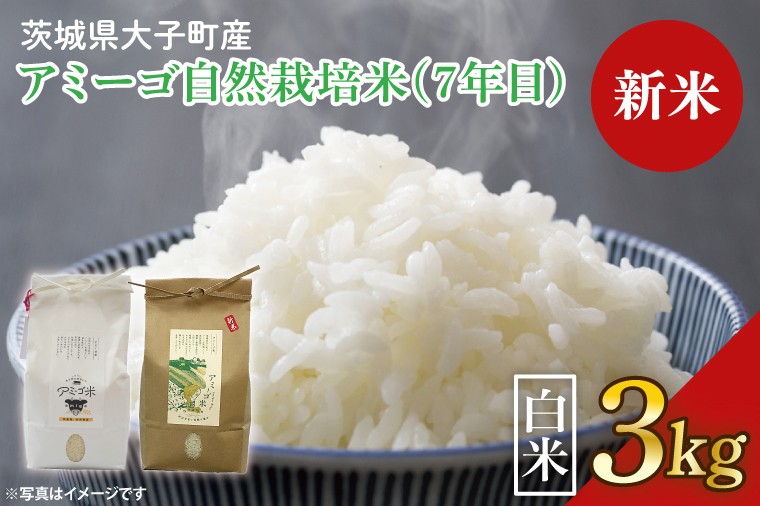 
            【新米】【2025年11月初旬頃順次発送予定】令和7年産 新米 3kg アミーゴ米 【白米】（コシヒカリ・自然栽培米（７年目）・天日干し米）｜茨城県 大子町 米 精米 おだがけ米 はざがけ米 いねかけ米 農福連携 コシヒカリ 白米(CA012)
          