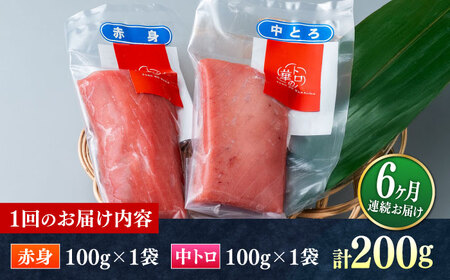 【全6回定期便】対馬産 本マグロ 200g（赤身100g、中トロ100g） ≪対馬市≫【桐谷商店】 トロの華 対馬 新鮮 マグロ 赤身 トロ 鮪 刺身[WAQ061]