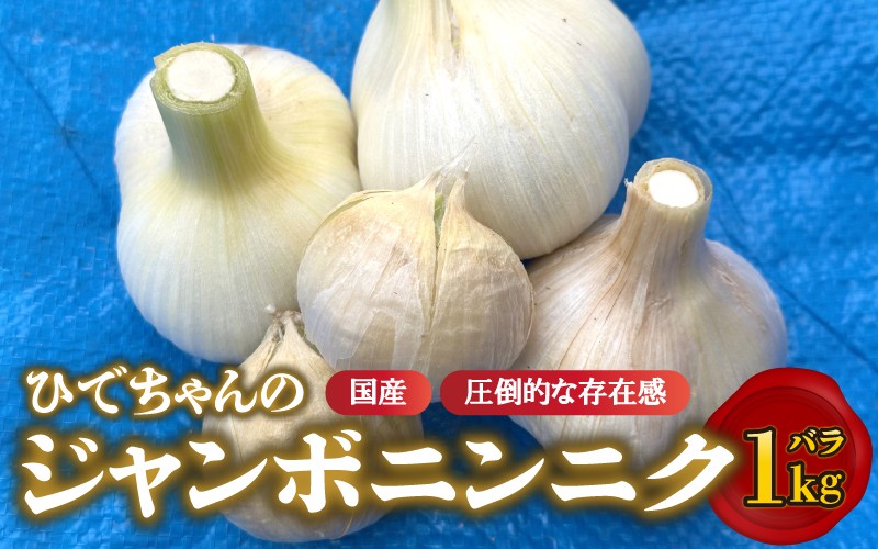 
                  【先行予約】ひでちゃんのジャンボニンニク（バラ）1kg 7月中旬～9月下旬のお届け
                