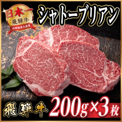 飛騨牛 シャトーブリアン 約600g(約200g×3枚)  黒毛和牛 ステーキ牛肉【配送不可地域：離島】