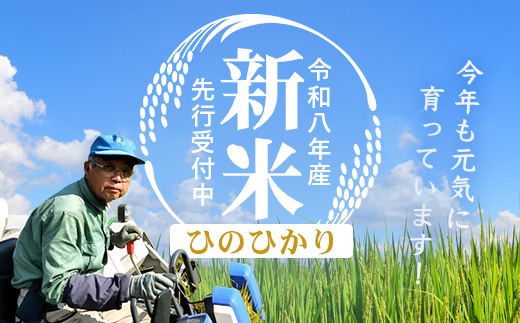 【令和8年産 新米！】《先行予約》 令和8年産 ひのひかり 5kg 南大隅町 辺塚産 ID-5 ｜2026年産 主食 鹿児島県 南大隅 白米 米 こめ コメ 5キロ ご飯 大自然のお米 国産 産地直送