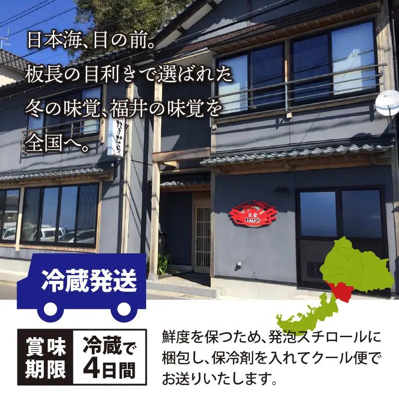 【先行予約】越前がに 中 （約600g～700g） 2杯【1月～3月発送】 日本海 直送