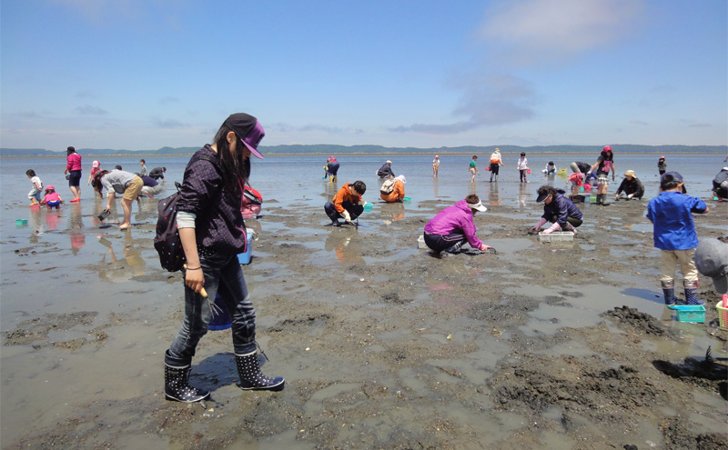 厚岸 あさり掘り 1名様 体験チケット