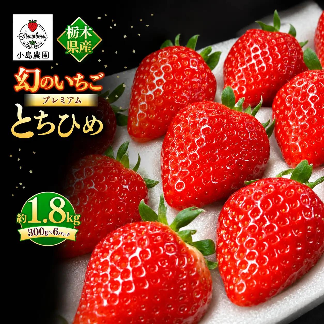【2027年先行予約】幻のプレミアムいちご とちひめ 約1.8kg