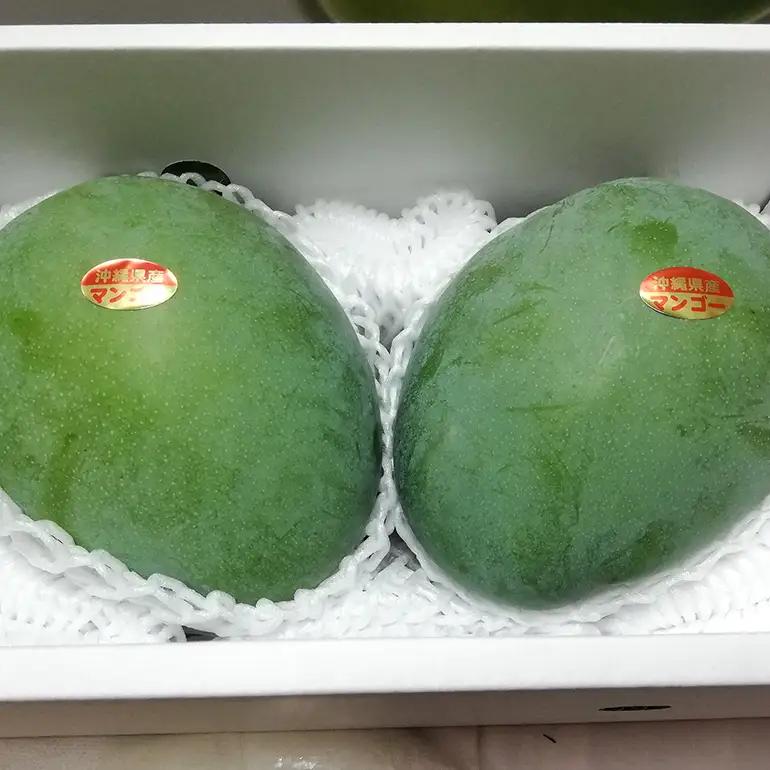 【 先行予約 2026年 発送 】 濃厚な大人の味 沖縄県「 キーツマンゴー 」2kg 沖縄県産 マンゴー 2キロ 緑色 希少 国産 果物 南国 くだもの フルーツ 夏 旬 特産品 沖縄 お取り寄せ 