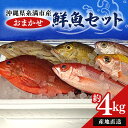 【ふるさと納税】【産地直送】【漁師まちの鮮魚店厳選】おまかせ鮮魚セット(約4kg)