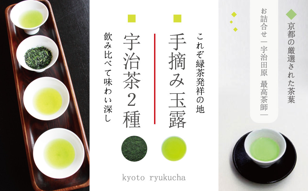 
                  手摘み玉露と宇治茶2種のお詰合せ ～宇治田原　最高茶師～〈お茶 茶 煎茶 緑茶 茶葉 玉露 手摘み玉露 雁が音 茎茶 詰合せ 最高茶師 大臣賞 飲料〉 n0315
                