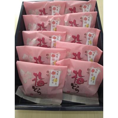 ふるさと納税 城陽市 梅どら　10個入り×1箱 |  | 01