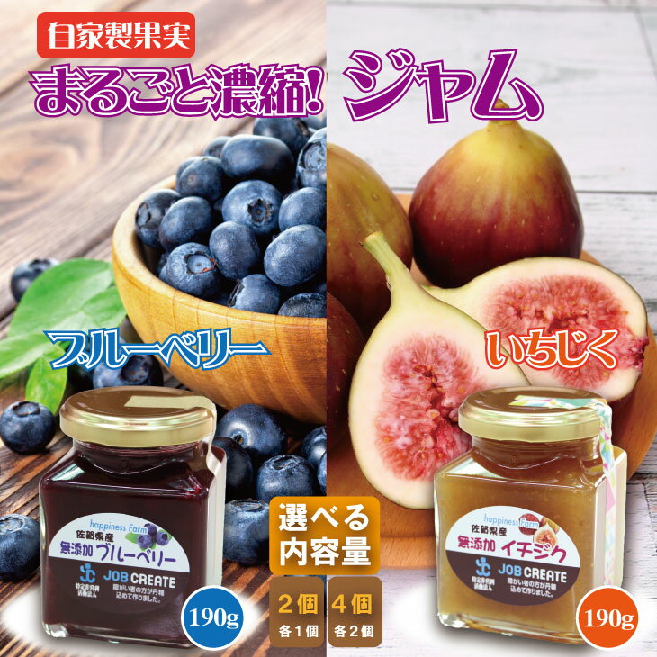 【ふるさと納税】【選べる内容量】 まるごと濃縮！いちじく ＆ ブルーベリー ジャム セット （190g×各1個・190g×各2個） ジョブクリエイト フルーツ 果実 自家製 天然素材 健康 【A070-039】
