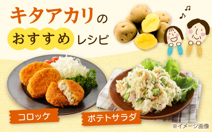 【2026年10月中旬以降順次発送】 じゃがいも キタアカリ （まっかりじゃが）10kg  |  じゃがいも キタアカリ 野菜 やさい 北海道 産地直送 |  道の駅 真狩フラワーセンター [BPAM