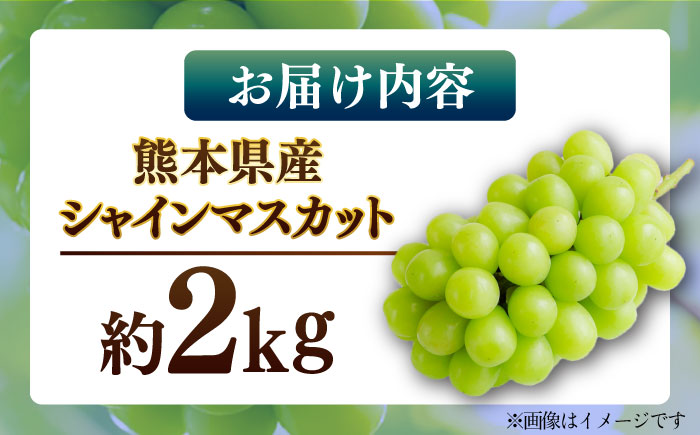【先行予約】【数量限定】シャインマスカット 約2kg【日本フルーツ株式会社】 [ZFJ010]