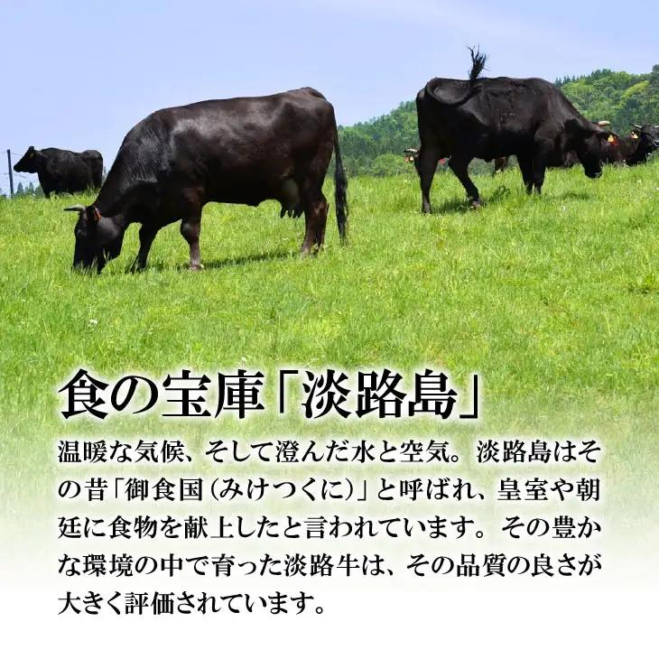 神戸ビーフ　メス限定　切り落とし　モモ　900g（300g×3）