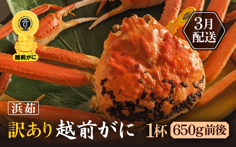 
            【訳あり】≪浜茹で≫越前がに 1杯（生で1杯650g前後）大人約2人前 食べ応え充分【規格外 雄 ズワイガニ かに カニ 蟹 越前ガニ 姿 ボイル 冷蔵 福井県】【3月発送分】希望日指定可 備考欄に希望日をご記入ください [e65-x001_03]
          