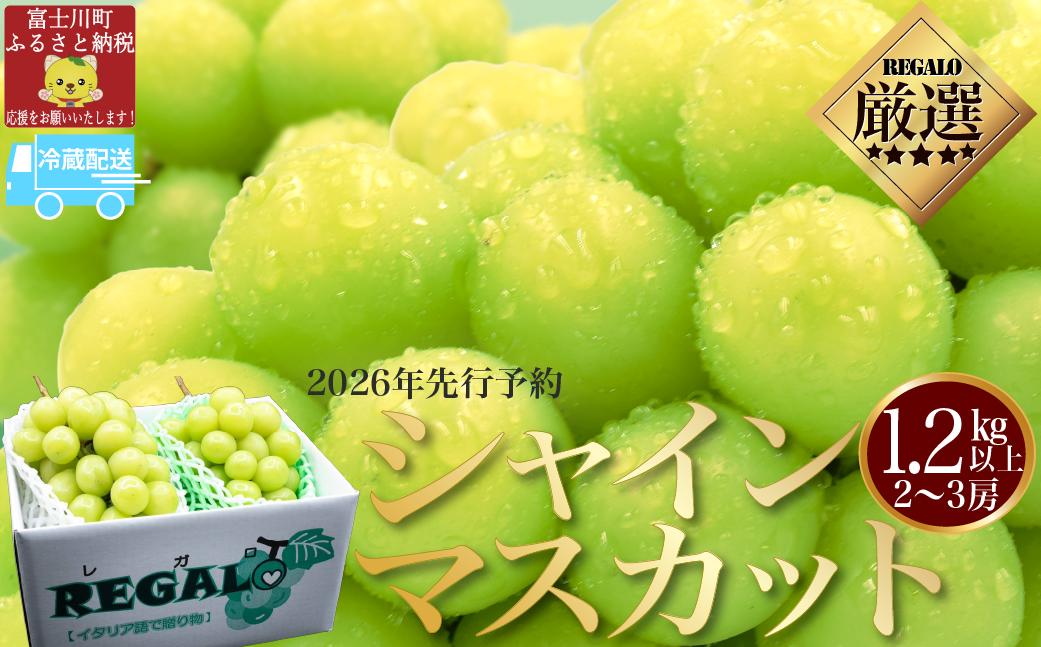
            【2026年発送分 先行予約】頬張る幸福感　～緑の宝石・シャインマスカット～　１．２ｋｇ以上（２～３房）※冷蔵発送※ フルーツ 山梨県産 果物 シャイン マスカット ぶどう ブドウ 大粒 種なし 種無し 先行予約 富士川町
          