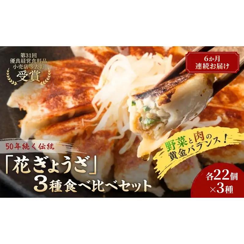 「花ぎょうざ」3種食べ比べセット 66個（各22個×3種）6か月連続お届け 餃子 冷凍餃子 冷凍ギョーザ 手作り餃子 ギョーザ セット 食べ比べ 点心 中華 中華料理 惣菜 簡単調理 加工食品 静岡県 森町