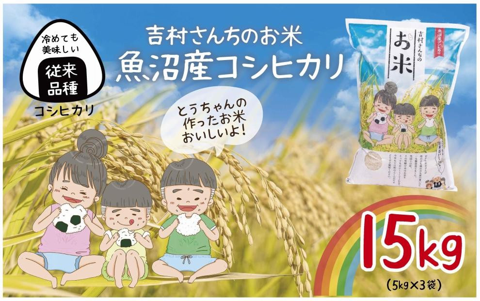 
DE297 ｜従来品種｜ 魚沼産 コシヒカリ 5kg ×3袋 計15kg 米 こしひかり お米 コメ 新潟 魚沼 魚沼産 白米 送料無料 新潟県産 精米 産直 農家直送 お取り寄せ 吉村さんちのお米 新潟県 十日町市
