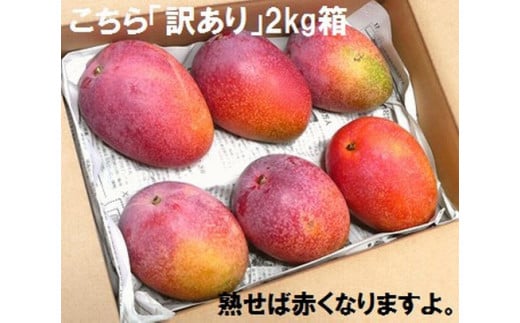 【予約受付】石垣島産 《訳あり・ご自宅用マンゴー》 約2kg エコ箱入り(3～6個入り) 2025年6月中旬～順次発送 【規格外】SI-30-2