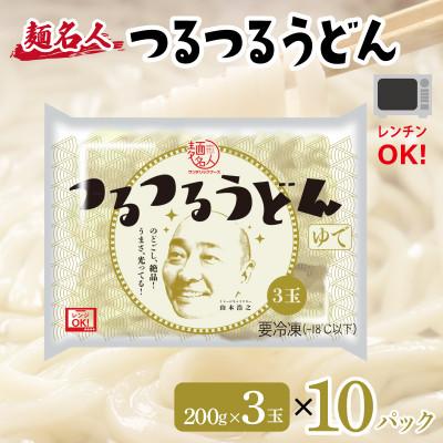 ふるさと納税 泉佐野市 麺名人 つるつるうどん 30食 個包装 099H2514