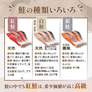【旨味】天然紅鮭切り身 1尾（3切入×6袋） ふるさと納税 鮭