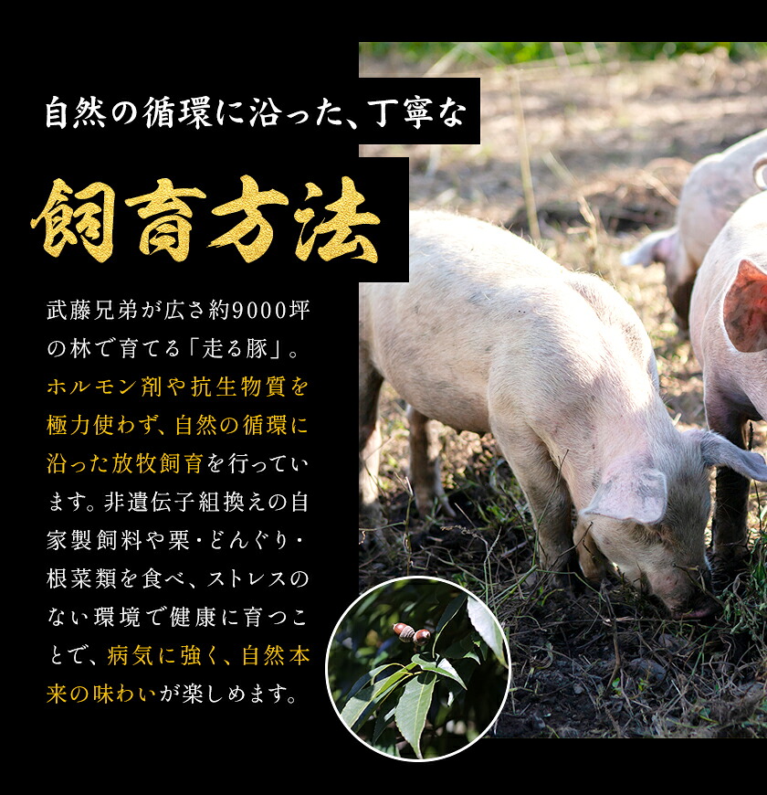 菊池やまあいの豚小間スライス 800g 《90日以内に出荷予定》(土日祝除く)》1パック200g 豚肉 豚小間 スライス済み 小分け 熊本県産 九州産 国産 冷凍 送料無料