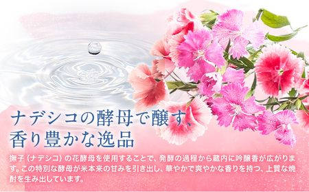 球磨焼酎 あさぎりの花 25度 720ml 5本 焼酎 米焼酎