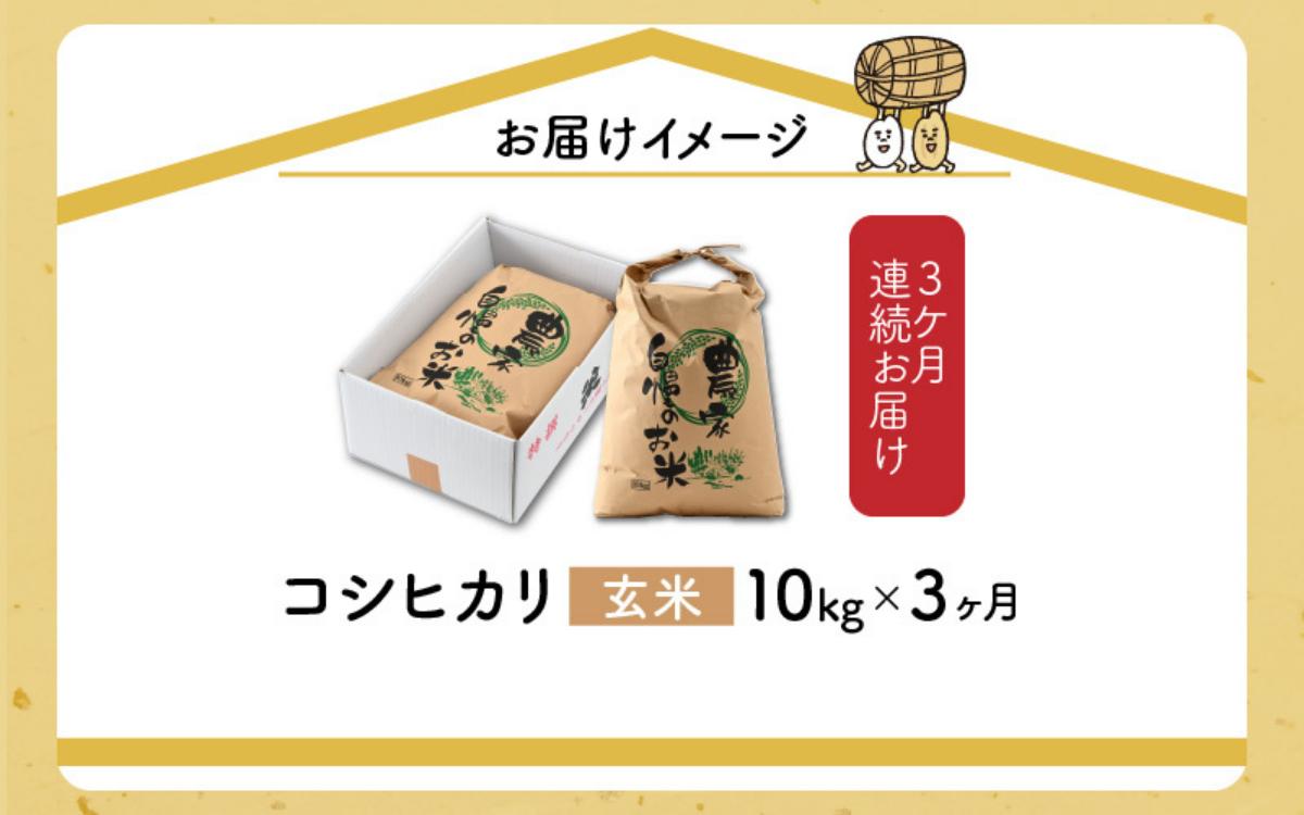 【通常販売】令和8年産 梅花藻が群生する清流で育てたコシヒカリ（玄米 10kg×1袋）3か月定期便 計30kg ※2026年9月10日以降順次発送予定[C-040009]