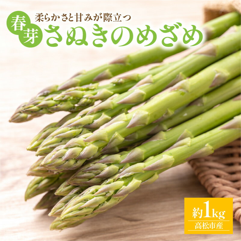 【ふるさと納税】柔らかさと甘みが際立つ さぬきのめざめ春芽 約1kg【2026-3月上旬～2026-4月下旬配送】 | アスパラガス 国産 甘い シャキシャキ オリジナル品種 アスパラ 贈り物 自宅用 家庭用 おうち時間 お取り寄せ 野菜 産地直送 高松市産 料理 食材 アスパラベーコン