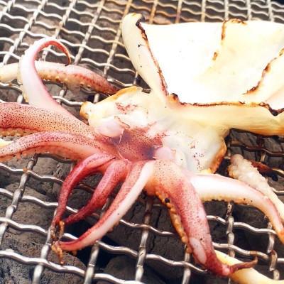 ふるさと納税 唐津市 新鮮!海から直送!剣先イカ一夜干し　1袋2枚入り×2袋 |  | 02