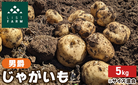じゃがいも 北海道産 男爵 リストファーム じゃがいも【5kg】