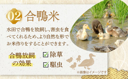 【全3回定期便】【着日指定 可能】【違いを楽しむ】こだわりの米食べ比べセット 約5kg（2.5kg×2種） 平戸市 / ひらど新鮮市場[KAB240]