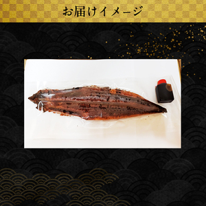 「国産うなぎ蒲焼」1尾(240g～250g)