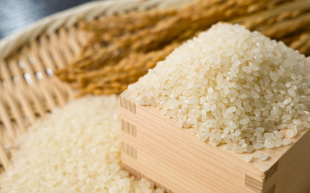 【食味鑑定士厳選】鳥取県産 きぬむすめ20kg(5kg×4袋) 精米【1644356】