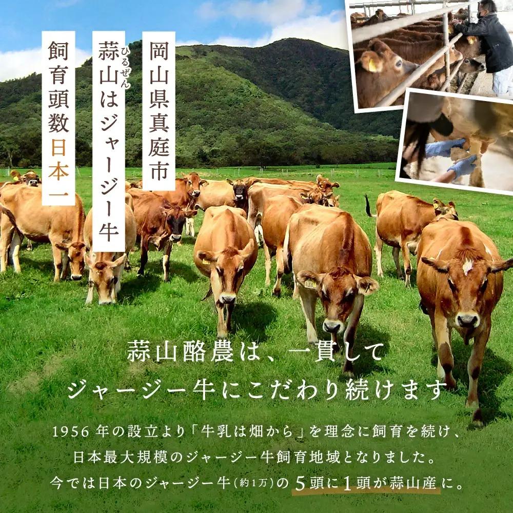 アイスクリーム 岡山県真庭市蒜山 ひるぜんジャージープレミアムアイスクリーム12個セット 【hiru011-01】