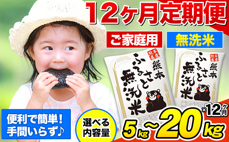 【12ヶ月定期便】無洗米 訳あり 熊本ふるさと無洗米 選べる内容量《お申込み翌月から出荷》 熊本県産 無洗米 精米 御船町 計12回お届け 以上 米 コメ 無洗米 ヒノヒカリ 使用