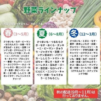 ふるさと納税 室戸市 季節のお野菜詰め合わせセット 定期便 2回 旬の詰め合わせ 産地直送 季節の新鮮 ふるさと納税 |  | 01