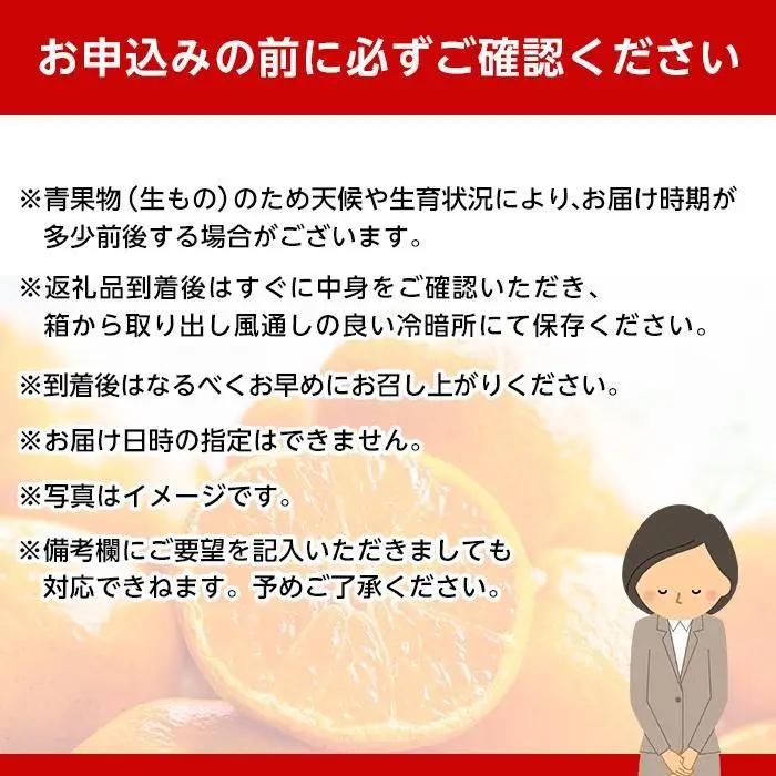 和歌山県産 糖度 12.5度以上 秀品 贈答用 みかん 5kg 3S ～ Lサイズ混合［MG55］