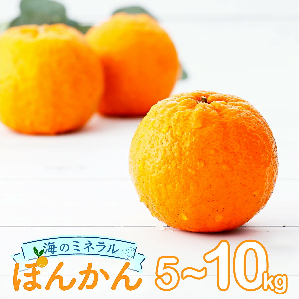 【ふるさと納税】先行予約 ＜選べる容量＞海のミネラルをたっぷり含んだ甲浦のポンカン 5kg/10kg 国産 東洋町産 甘い 栄養たっぷり ジューシー 果肉 四国 お取り寄せ フルーツ 蜜柑 ミカン 果物 家庭用 自宅用 送料無料