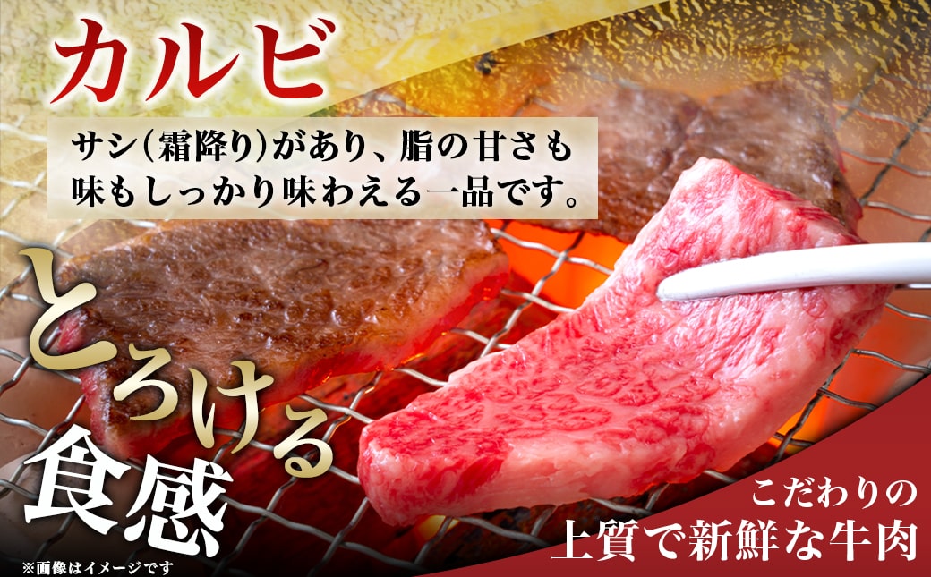 宮崎牛カルビ500g_18-4205_イメージ3