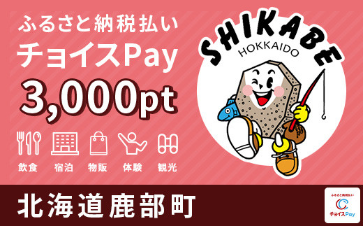 
海産物などの特産品のお買物に！鹿部町 チョイスPay 3,000ポイント【会員限定のお礼の品】
