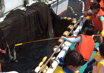 新鮮！魚料理が自慢のお宿「民宿はまけん」ペア宿泊・定置網漁体験付きプラン【hmkn0002】