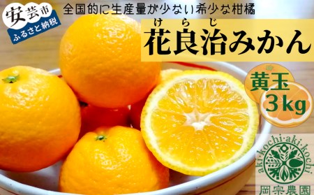 【先行予約】みかん 花良治みかん 3kg|みかん みかん みかん みかん みかん