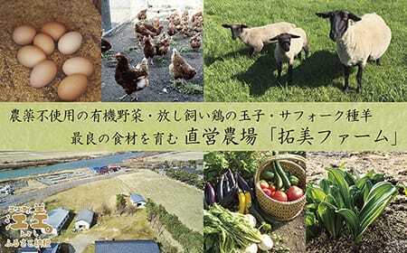 江差旅庭 群来（くき）《おひとり様宿泊券》タクシー送迎つき　北海道の高級旅館　大人の隠れ家　源泉かけ流し天然温泉宿　個室温泉付き客室　直営農場の平飼い卵・サフォーク羊・野菜山菜　船買いの新鮮魚介　温泉