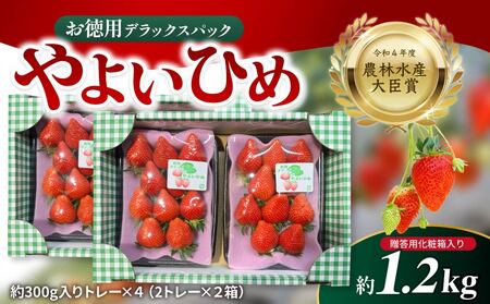 いちご お徳用 やよいひめ デラックスパック 約300g×4パック いちご
