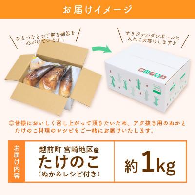 ふるさと納税 越前町 越前町宮崎地区産 たけのこ 約1kg |  | 03