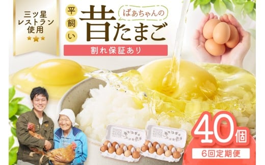 【6回定期便】平飼いで のびのび！ばあちゃんの昔たまご 40個/月 割れ保証あり 999-B619