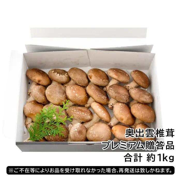 「奥出雲椎茸」プレミアム贈答品【椎茸 生しいたけ 1kg 収穫直後 サイズ混合 新鮮 旨味たっぷり 菌床栽培 国産 きのこ キノコ 野菜 料理 食品 産地直送 自宅用】